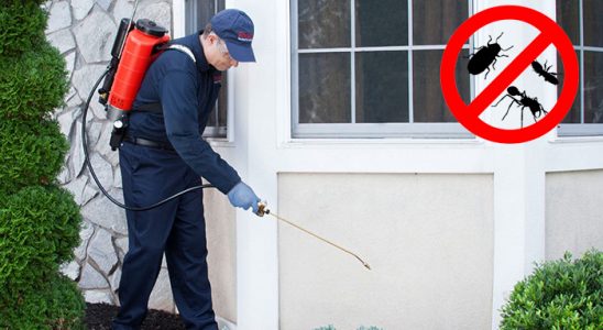 Finike Akrep İlaçlama böcek ilaçlama ve haşere kontrolü — ilaclama-tr.com